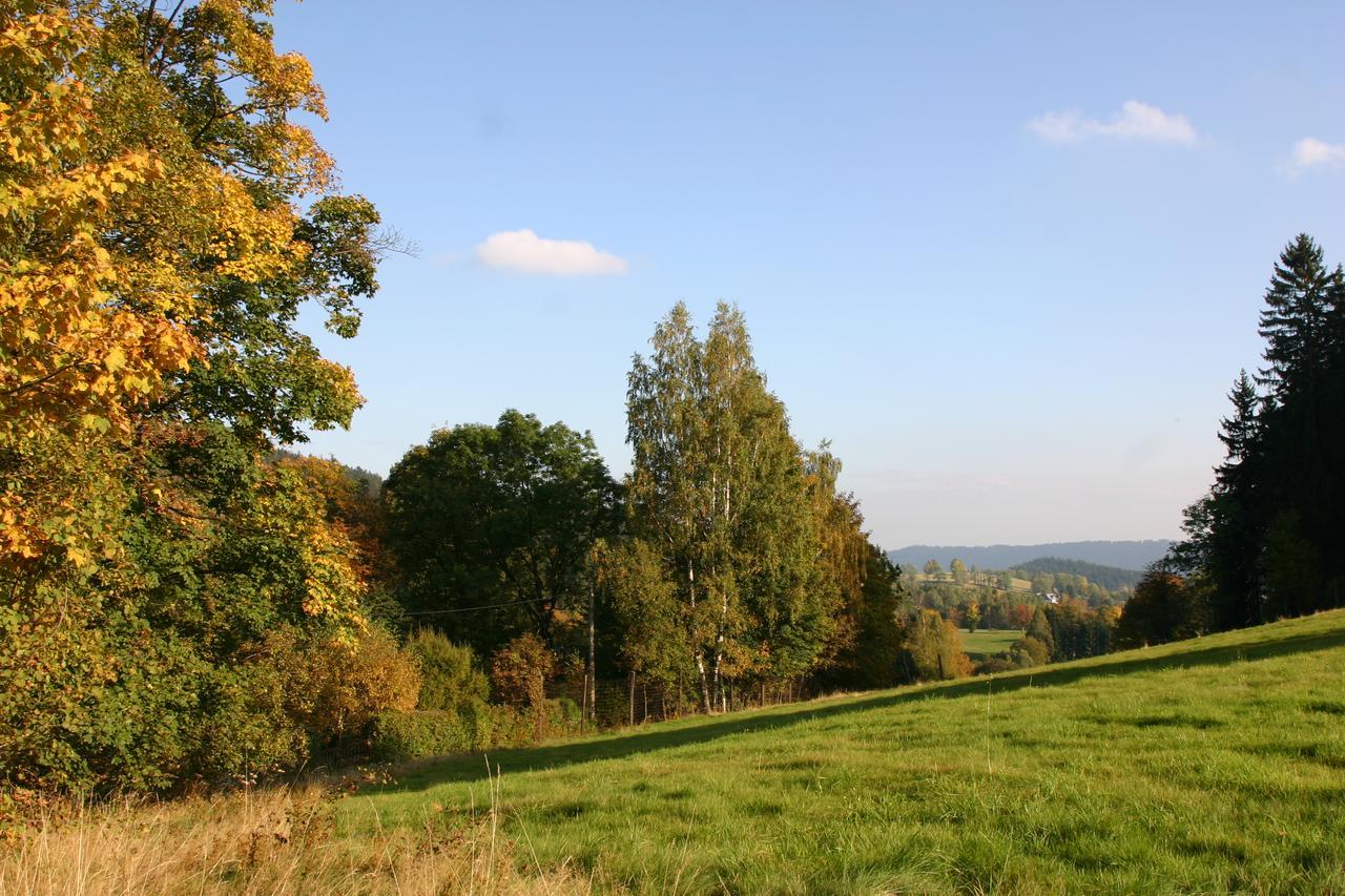 Jeleni Chata Skladanka Lučany nad Nisou Buitenkant foto