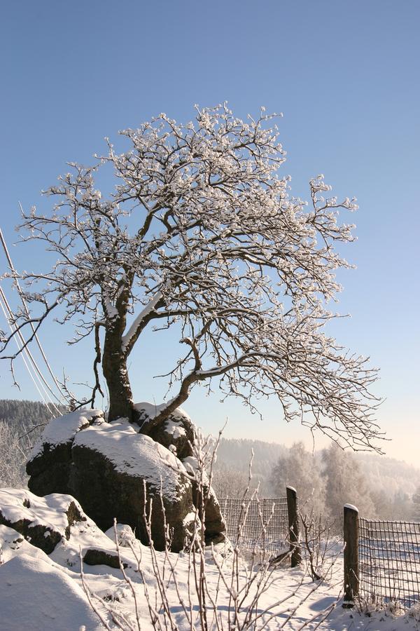 Jeleni Chata Skladanka Lučany nad Nisou Buitenkant foto