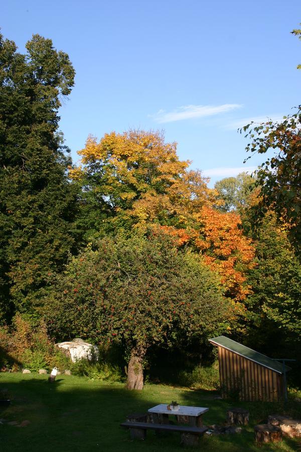 Jeleni Chata Skladanka Lučany nad Nisou Buitenkant foto
