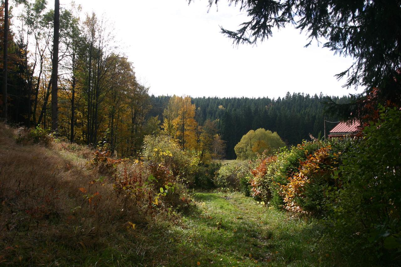 Jeleni Chata Skladanka Lučany nad Nisou Buitenkant foto