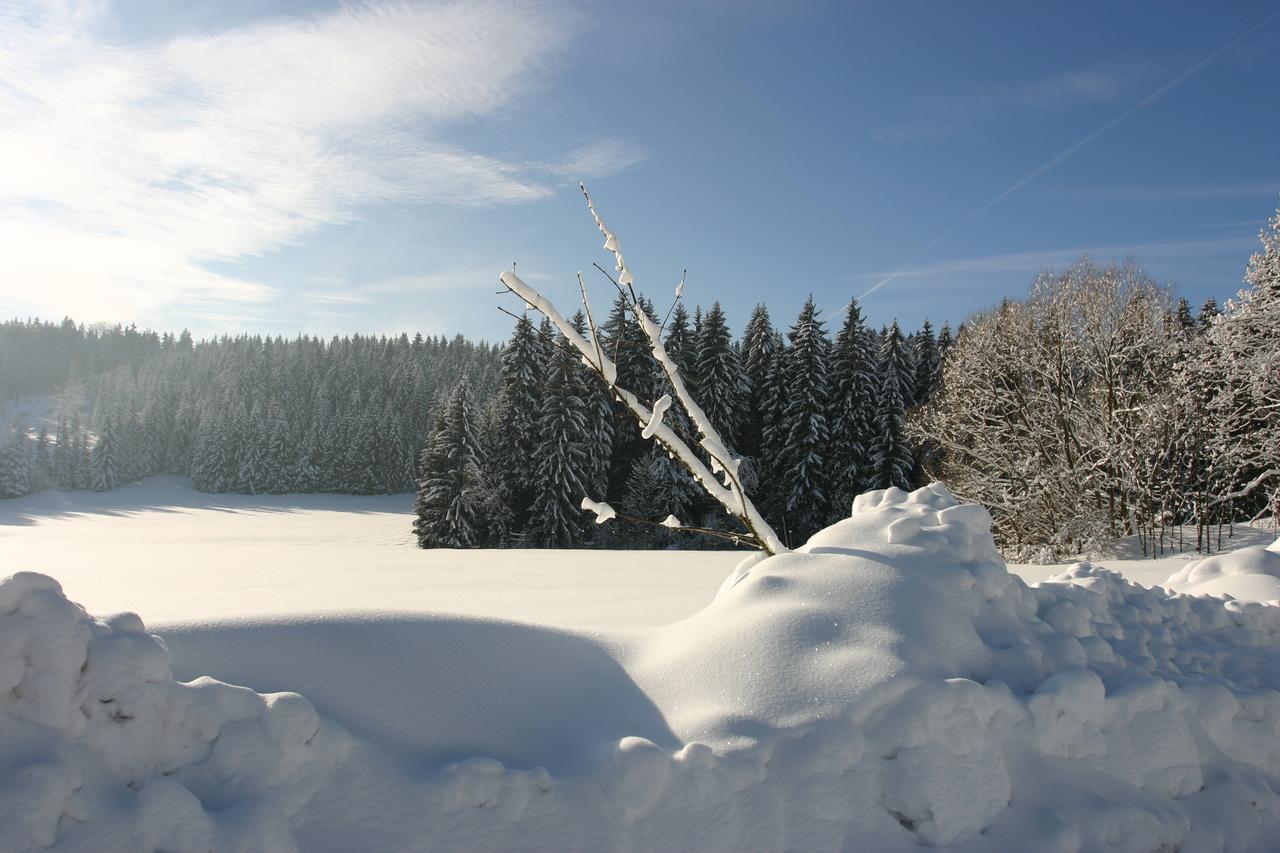 Jeleni Chata Skladanka Lučany nad Nisou Buitenkant foto